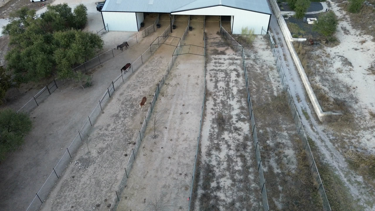 Looking down on the paddocks behind the barn, with horses turned out