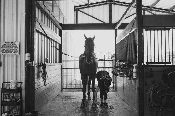 A horse standing at the end of the barn aisle, between the stalls, in the open doorway